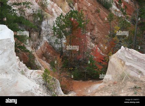 Providence Canyon State Park Landscape Mountain Picture Clay Ditch