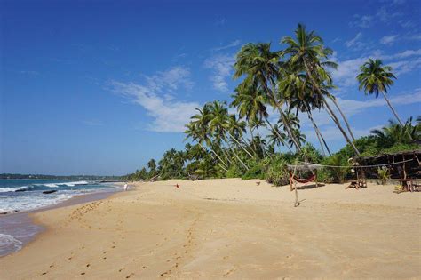 Places To Visit In Negombo For A Perfect Sri Lanka Vacation