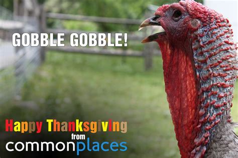 Gobble Gobble Happy Thanksgiving From Commonplaces Happy Thanksgiving Gobble Happy