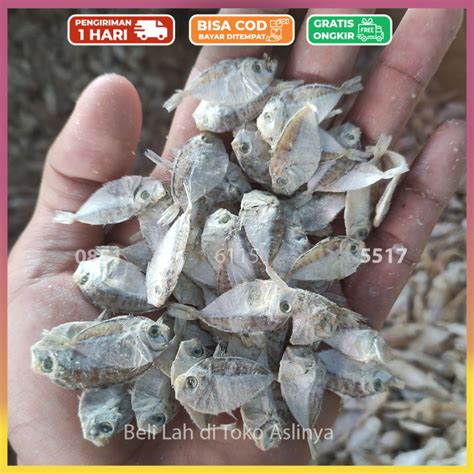 Ikan Asin Petek Kecil 1kg 100 Fresh Lazada Indonesia