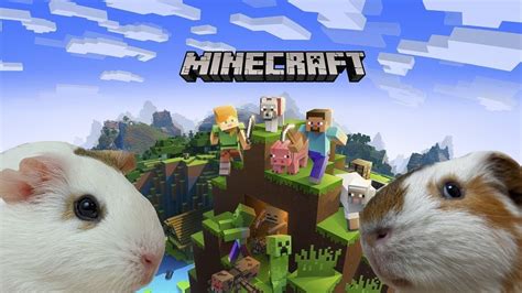 Minecraft And Guinea Pigs Youtube
