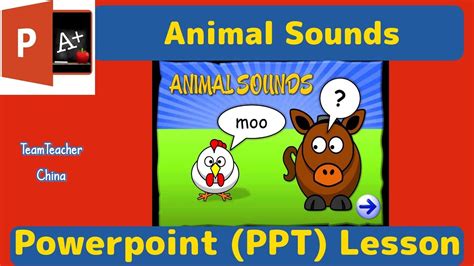 Animals Sounds Tefl Powerpoint Lesson Plan Classroom Ppt Games Youtube