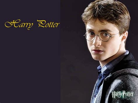 Harry Potter Wallpaper Harry James Potter Wallpaper 25503448 Fanpop