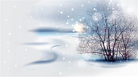 Soft Winter Landscape Drifts Sun Winter Tree Bokeh Snow Ze Ice