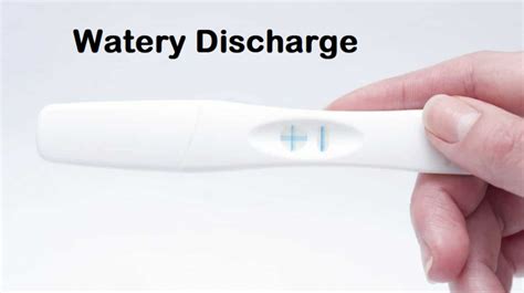 Watery Vaginal Discharge Timing Matters Health Weighup