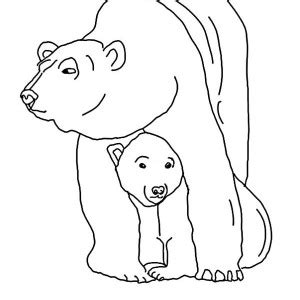 Click the download button to see the full image of baby polar bear coloring pages free, and download it for your computer. Polar Bear And Big Seagull Coloring Page : Kids Play Color