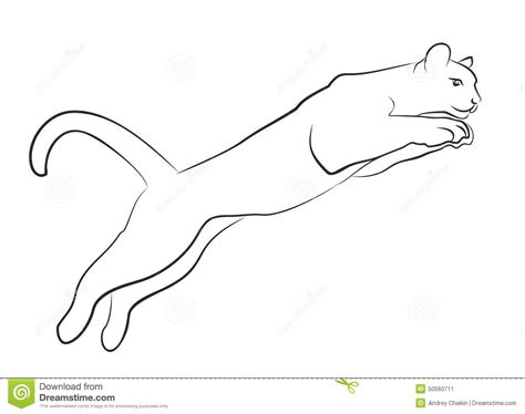 Jump cat stock vector. Illustration of predatory, drawing - 50560711