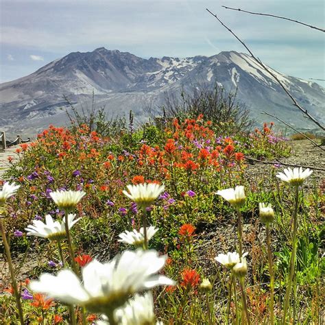 Mt Saint Helens In June Smithsonian Photo Contest Smithsonian Magazine