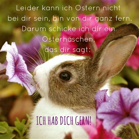 Doch warum ein langweiliger text. 50+ schöne Frohe Ostern Bilder: Ostergrüße kostenlos, cool ...