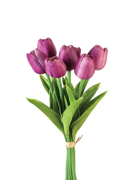 American Best 12 Tulip Stem X7