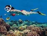 Key West Reef Snorkeling Cruise