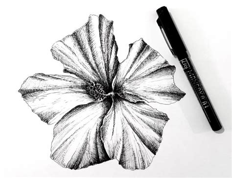 Maybe you would like to learn more about one of these? How to Draw ANY Flower with Pen & Ink - Ran Art Blog