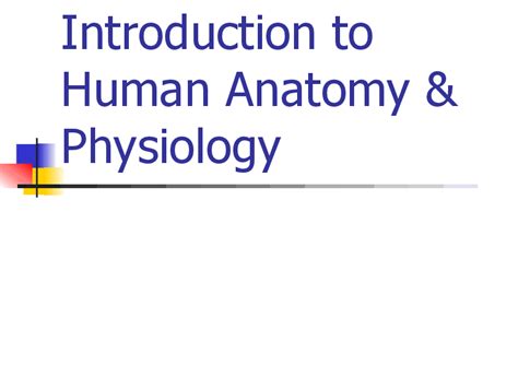 Introduction To Human Anatomy And Physiology Ppt For 9th Higher Ed