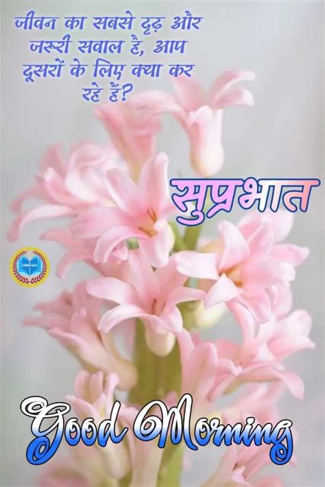 Hindifolio Hindi Good Morning Quotes Wishes Image सुप्रभात