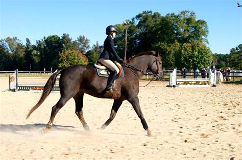 Equestrian Team Competes In Back To Back Competitions