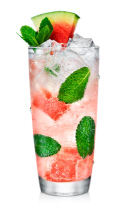 Malibu Watermelon Mojito | Recipe in 2021 | Watermelon mojito, Watermelon alcoholic drinks, Rum ...
