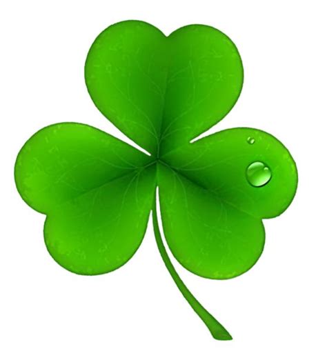 Free Trinity Shamrock Cliparts Download Free Trinity Shamrock Cliparts