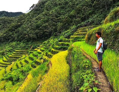 The Rice Terraces Of Ifugao 43bluedoors