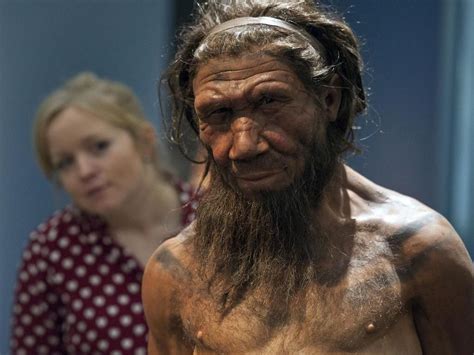 Reconstructed Neanderthal Chest Reveals Unusual