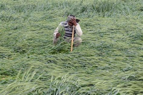 17 Farmers Commit Suicide Everyday In India Its Time For Politicians To Move Beyond Promises