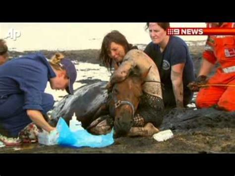 Sounds perfect wahhhh, i don't wanna. Dramatic Horse Rescue in Australia - YouTube