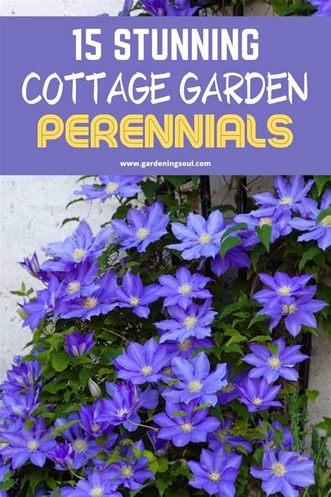 15 Stunning Cottage Garden Perennials