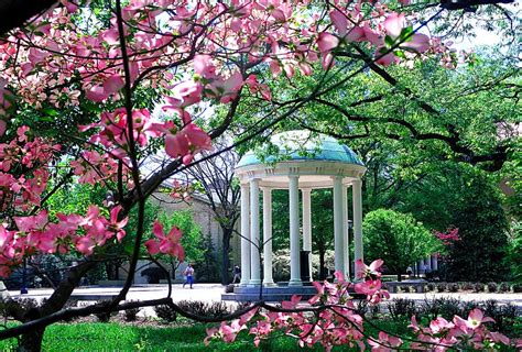 7 Iconic Things To Do In Chapel Hill North Carolina