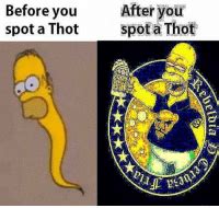 Before You After Your A Thot Spot A Thot Thot Meme On Me Me