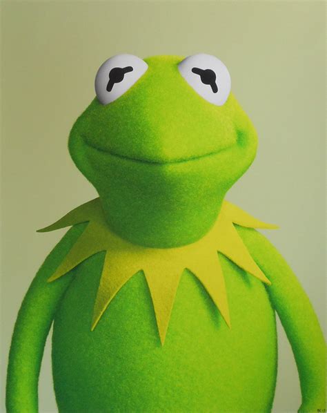 In addition to being the world's most famous amphibian and an international film and television star, kermit is executive producer of up late with miss piggy. User blog:HeadlessKramerGeoff777/Kermit the Frog Profile ...