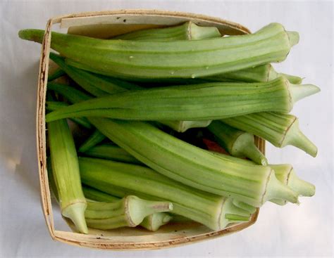 My family used to grow okra plant in our garden. Burmese Okra, 4 g : Southern Exposure Seed Exchange ...