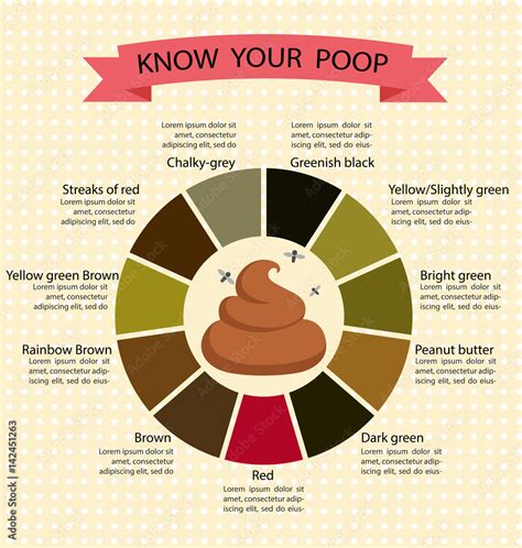 Poop stool color changes color chart and meaning, healthy concept stock vector