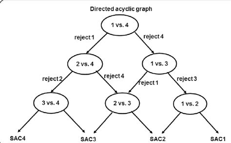 An Example Of Directed Acyclic Graph Dag For Identifying Severity