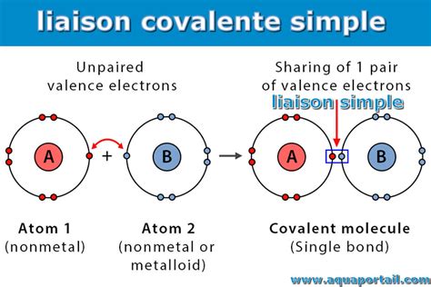 Liaison Covalente Définition Et Explications