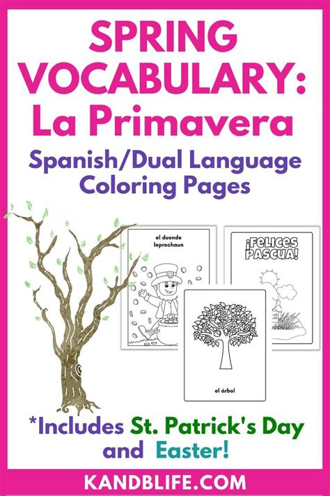 Spanish Spring Vocabulary La Primavera Coloring Pages Spring