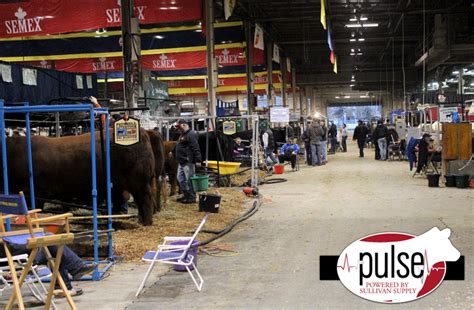 Around The Barns At The Royal Agricultural Winter Fair In Canada The