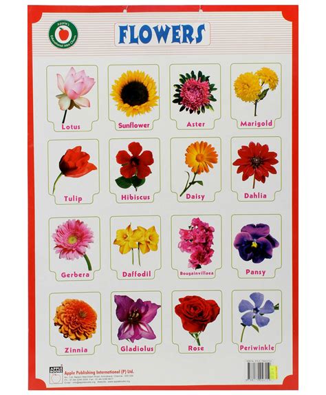 Different Types Of Flowers With Names Chart Godola