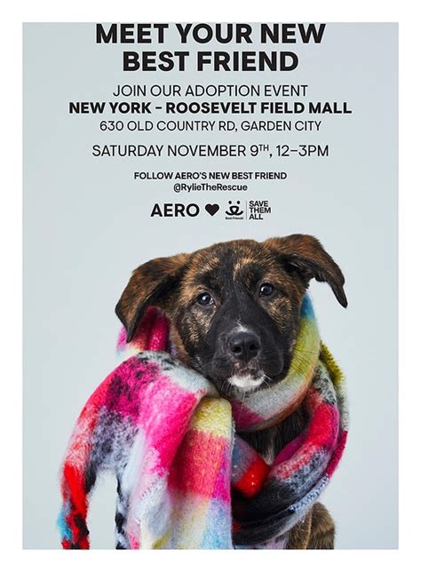 Aeropostale X Best Friends Animal Society In Store Adoption Event