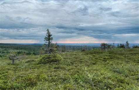 Lapland Wilderness Stock Photo Image Of Scene Endless 102737638