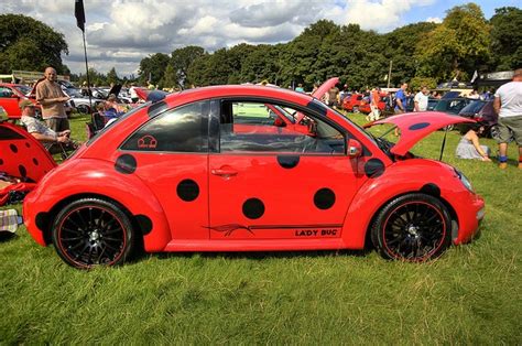 Lady Bug Vw Beetle Vw Beetles Pinterest