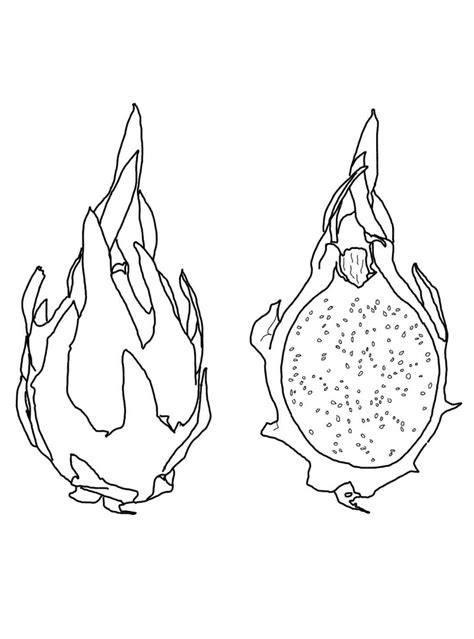 top  printable dragon fruit coloring pages  coloring pages