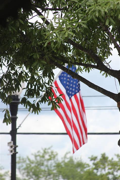 Us Flag And Tree In Covington Photograph By Cathy Lindsey Fine Art