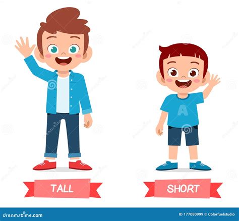 Tall And Short Antonyms Word Card Vector Template Flashcard For