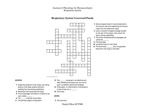 Scene from grey's anatomy 03x09. Anatomy Crossword Puzzles Printable | Printable Crossword ...