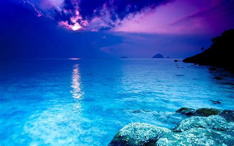 Deep Sea Wallpapers (65+ images)
