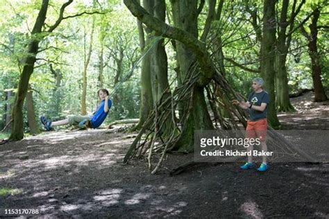 Ecclesall Woods Photos And Premium High Res Pictures Getty Images