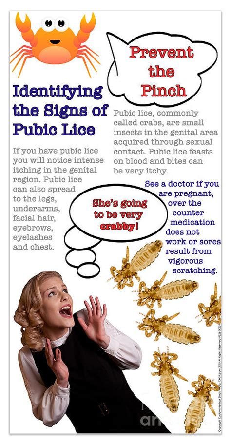 Signs Of Pubic Lice Digital Art By Cmsp