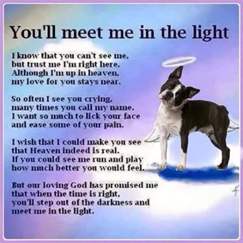 Last tear from my eyes i loved all who were positive in the event of my demise! You'll meet me in the light