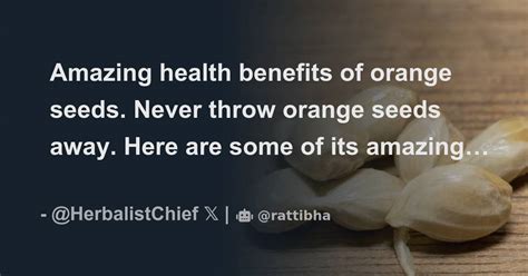 Amazing Health Benefits Of Orange Seeds Never Throw Orange Seeds Away