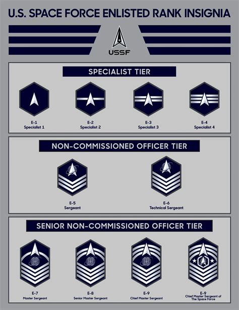 Us Space Force Enlisted Rank Insigniaand Service Dress Romania