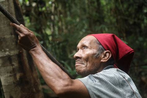 ‘people Of The Forest Indigenous Indonesians Stake Claim To Land